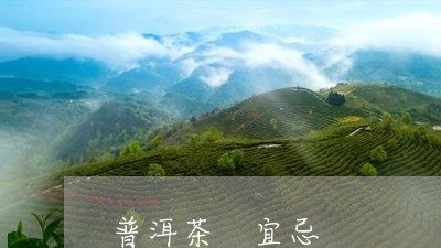 普洱茶 宜忌/2023042706838